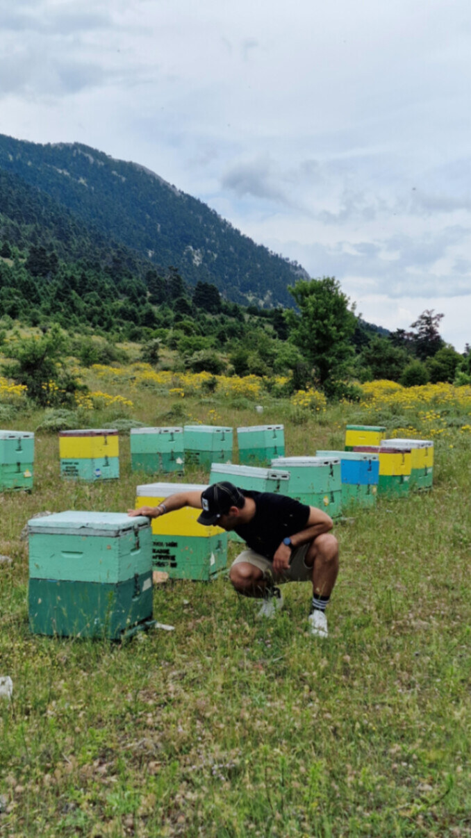 A beekeeper crouches beside a hive in a flowery meadow.