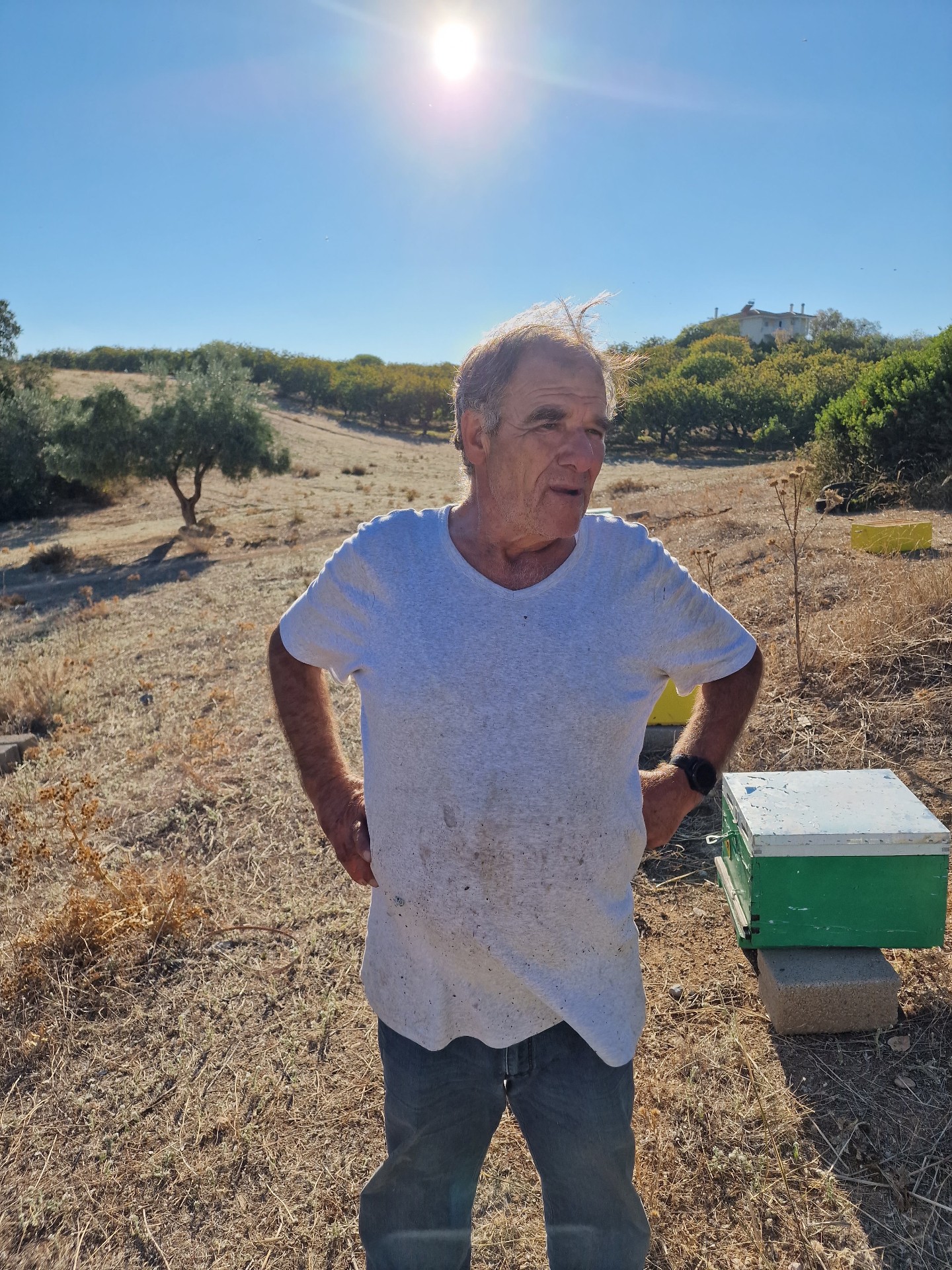 Ioannis stands in a field with hives, trees and a hillside behind.