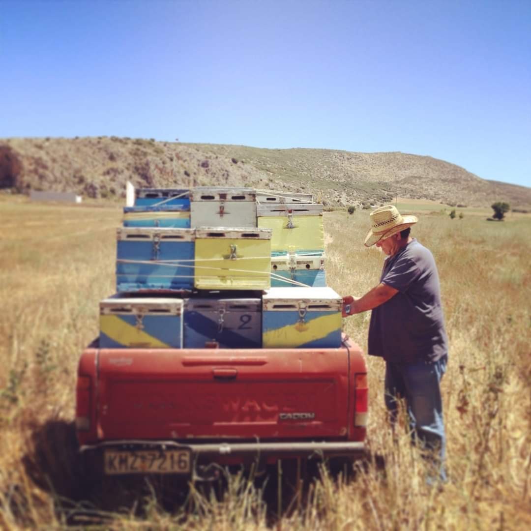 A red pickup truck loaded with hives in a field