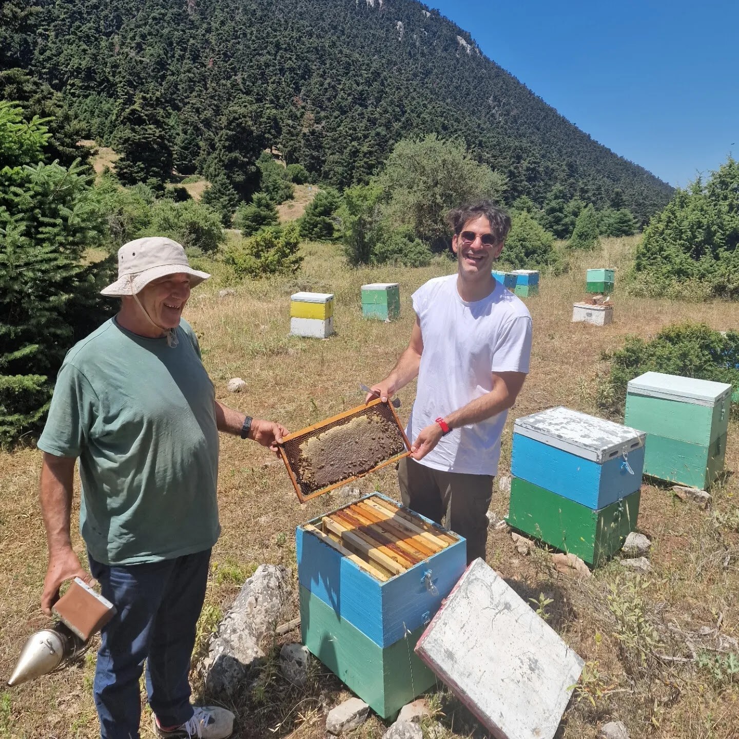 Two beekeepers lift a filled frame in a mountain meadow.