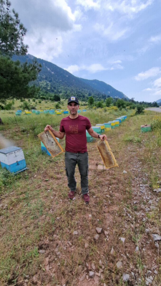 A beekeeper holds two frames in a mountain meadow.
