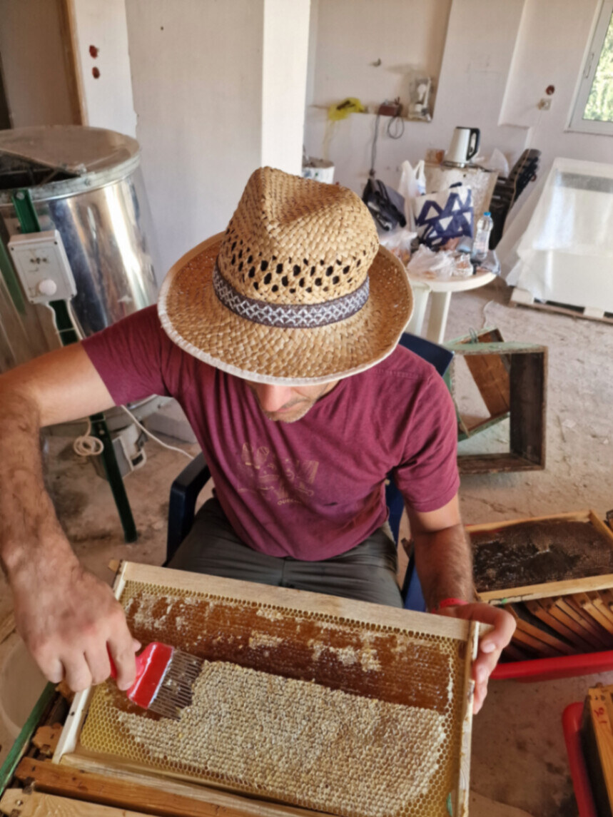 Uncapping a frame beside the honey extractor.